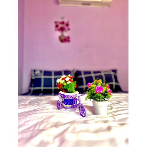 ลูกดกแน่โฮมสเตย์ ที่พักเกาะลิบง