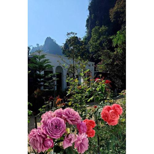 วีรพัชนารา