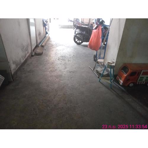 วีวันไพร์