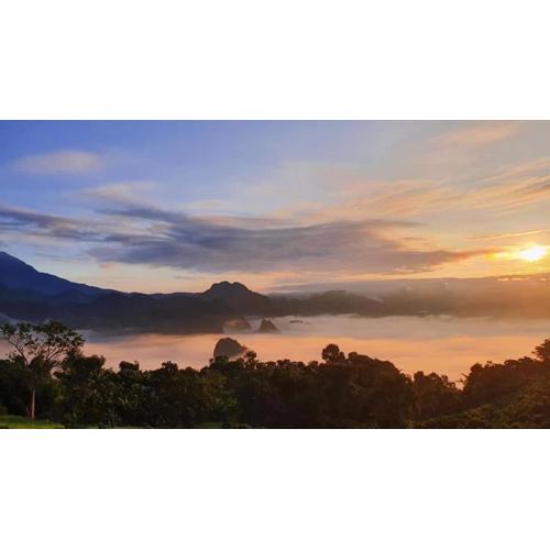 วิช โฮมสเตย์