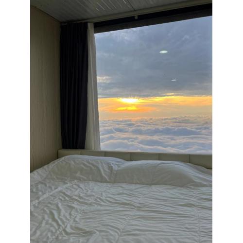 วิมานหมอก ภูทับเบิก