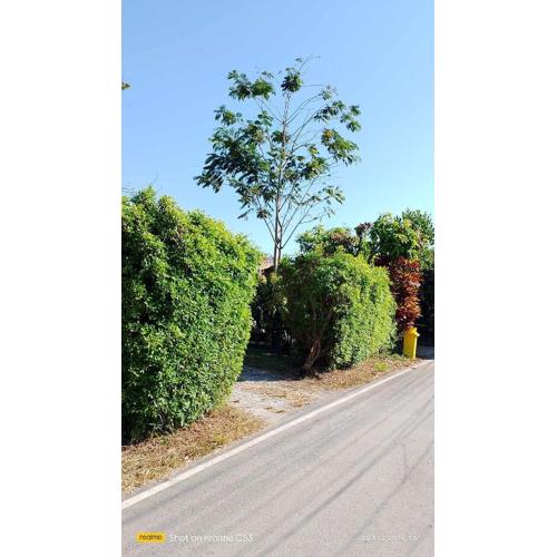 บ้านสโนว์เขาค้อ