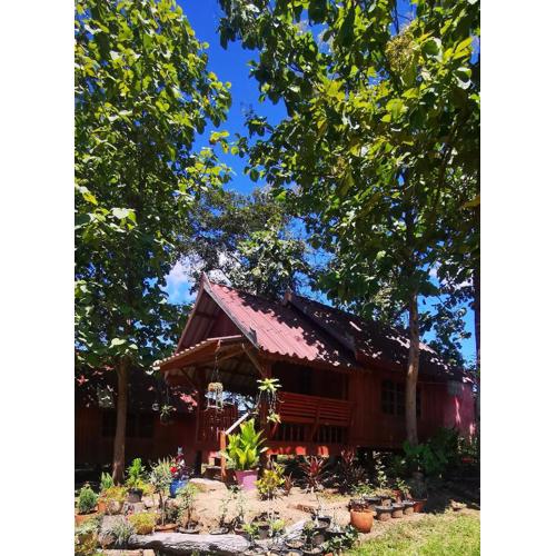 ปายสามหมอก