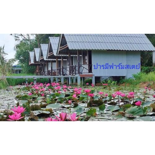 ปารมีฟาร์มสเตย์