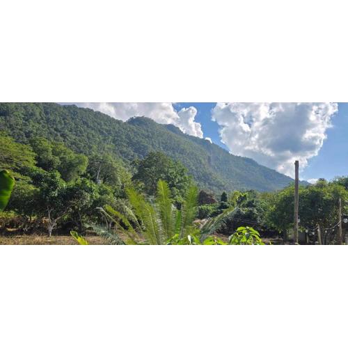 ปิงโค้งเม้าท์เท่นวิว