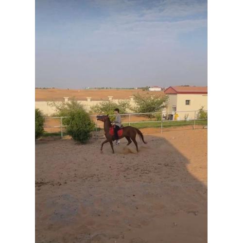 مزرعة العائلة