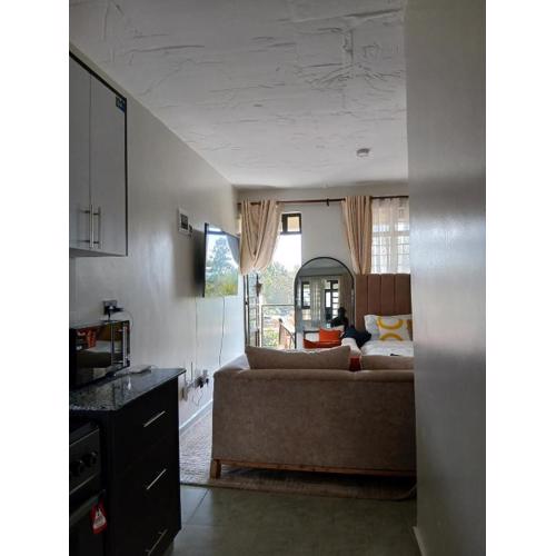 A cozy spacious studio apartment with a balcony