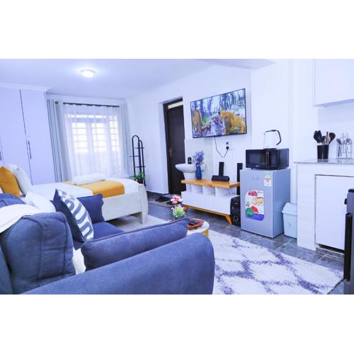 A cozy studio in Kamakis, Ruiru