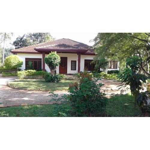 A gateway to paradise