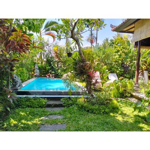A Lush Tropical Villa in Ubud Rice Fields