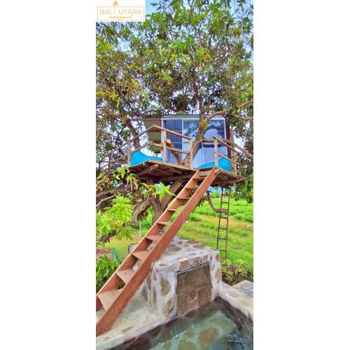 A Mango Tree House with a private swimming pool