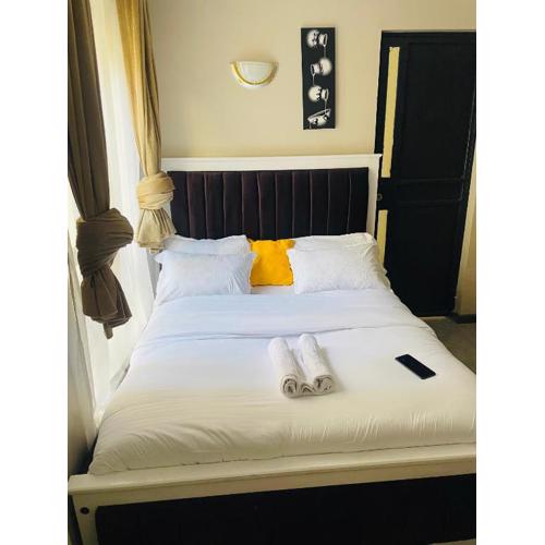 A modern affordable stylish bedsitter centrally located in nairobi