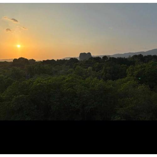 มัณดาวีต์ คอนโดa