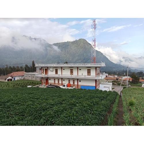 AAA, Astungkara, Amazing Bromo Villa, Managed by Triple A Tour, Additional Bromo Jeep Tour and Airport Shuttle