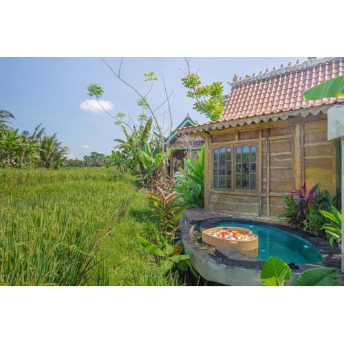 Abian Ubud View