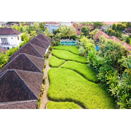 Abipraya Ubud