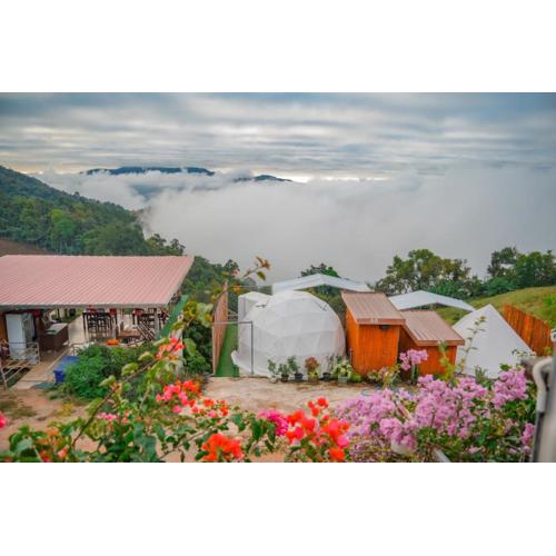 อาฉ่างแคมป์ Achang Camp