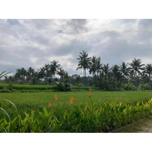 Adi Laxmi Villa Ubud