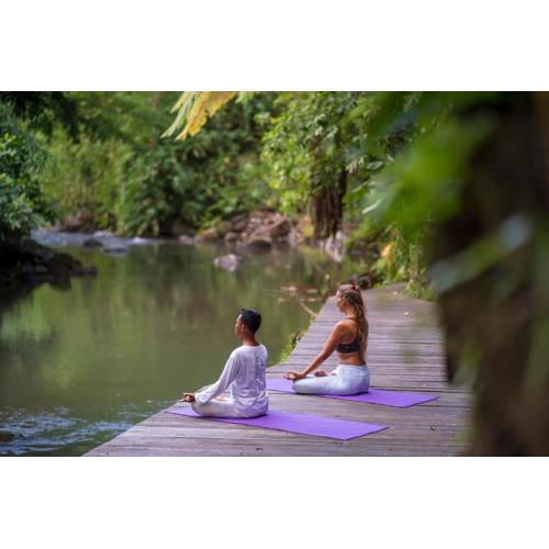 Adiwana Svarga Loka - A Retreat Resort