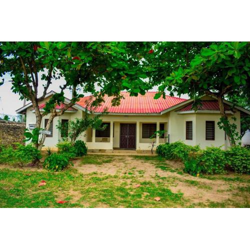 Affordable karura and friends