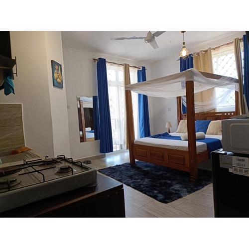Affordable neat studio furnished apartment in Mtwapa