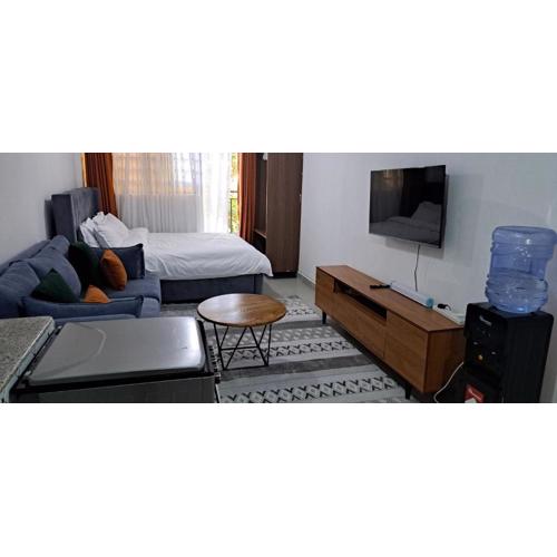 Affordable Studio Apartment Kasarani Seasons