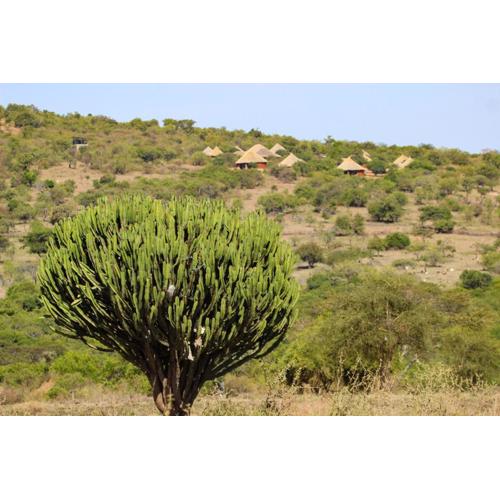 Africa Safari Maasai Boma Camping