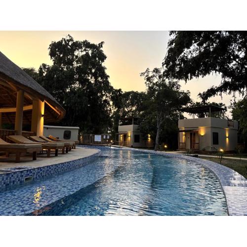 Africa Safari Nyerere