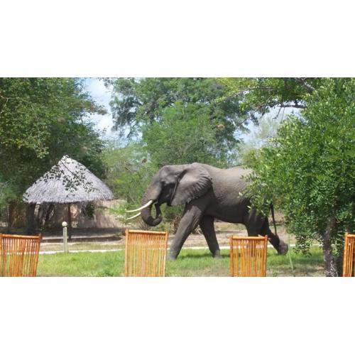 Africa Safari Selous Camping