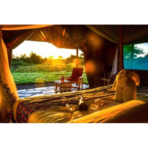 Africa Safari Serengeti Ikoma