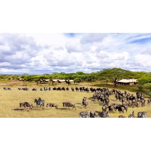 Africa Safari Serengeti Kusini