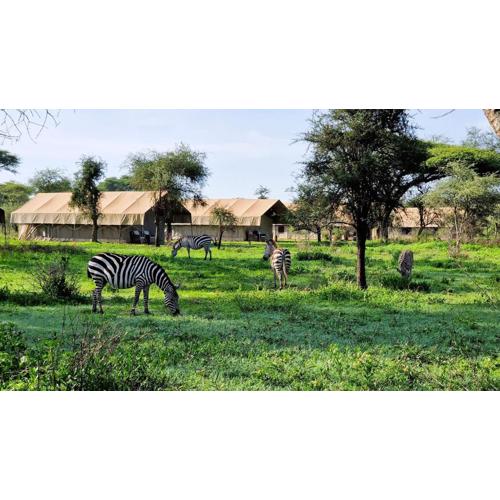 Africa Safari South Serengeti Ndutu Camping
