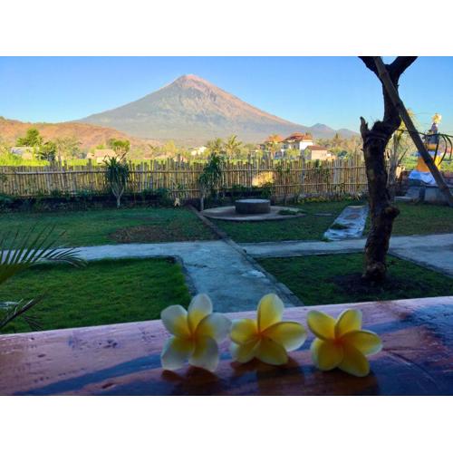 Agung Inn Amed