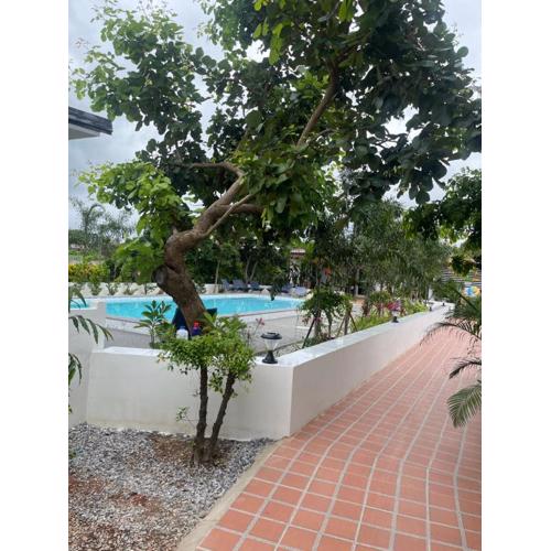 AJ Pizza and Steakhouse