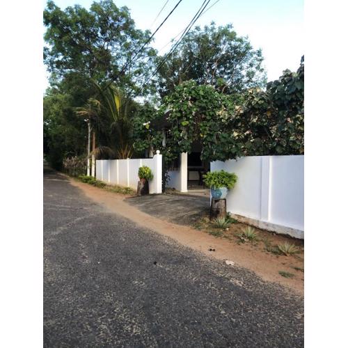 AKM Resort Whisky Point