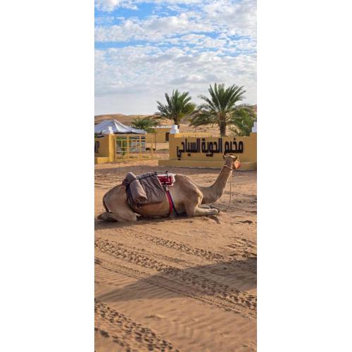 AL hawiyah camp