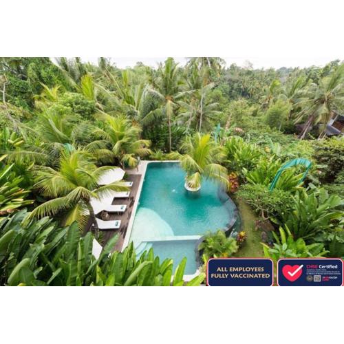 Alamdini Resort Ubud
