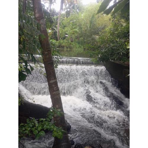 Alankulama Waana Resort