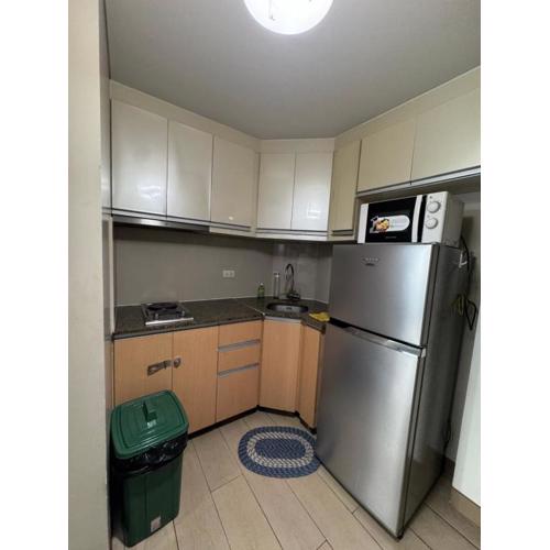 Alaya Place - Palm Tree II - in front of NAIA 3