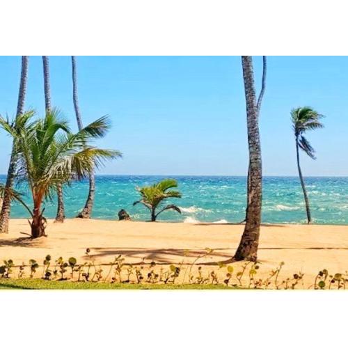 Albatros club resort