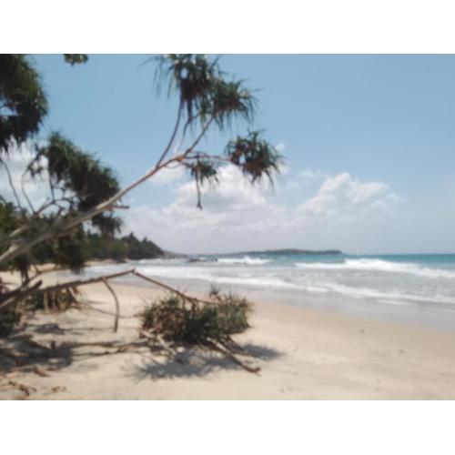 Albergo Marina Nilwella