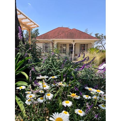 Allamanda House Meru