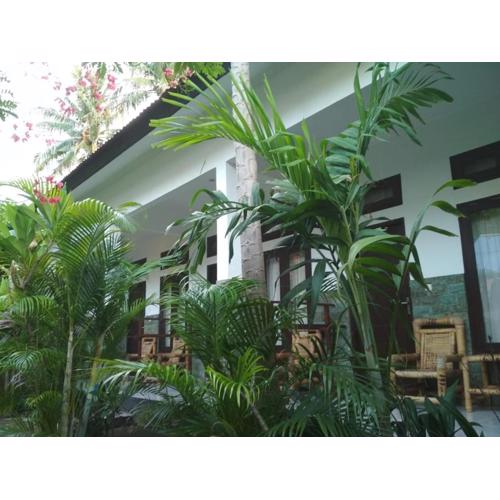 ALMAIDA II Gili Trawangan