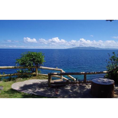 Almira Diving Resort- Panglao