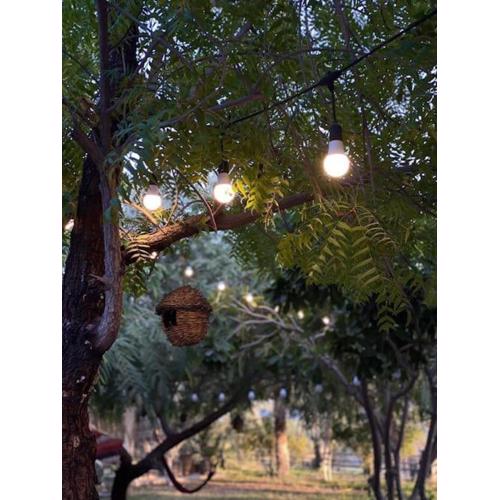 Alnessayem Farmhouse