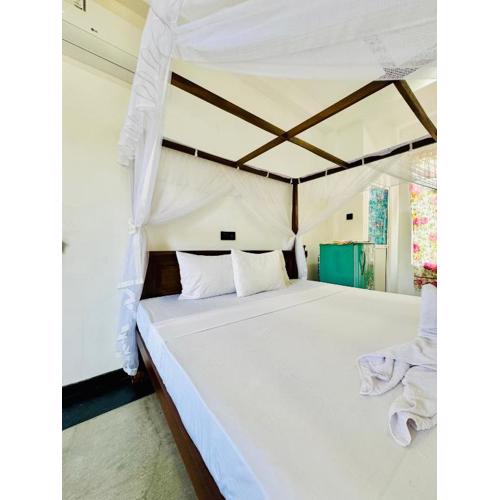 Alovera inn weligama