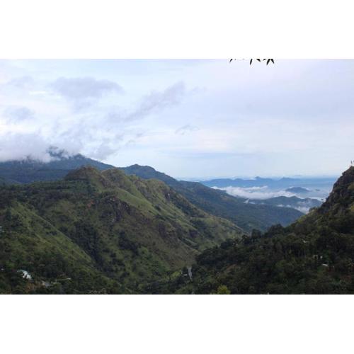Amado Homestay Ella