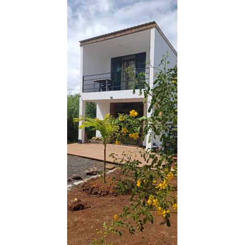 Amanda's Tiny Heaven