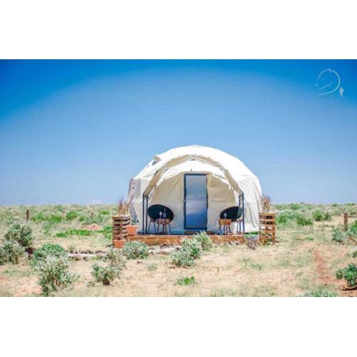 Amanya 1-Bed Leopard Tent