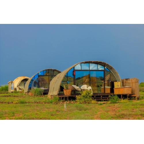 Amanya 2-Rooms Lioness Family